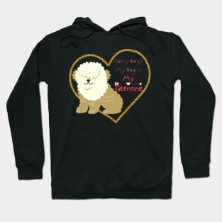 Sorry boys my dog is my valentine Hoodie